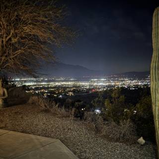 Tranquil Desert Night