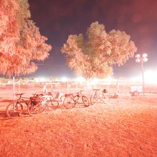 Nighttime Bicycle Gathering