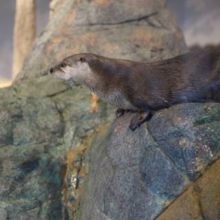 Otterly Adorable: Stand Tall