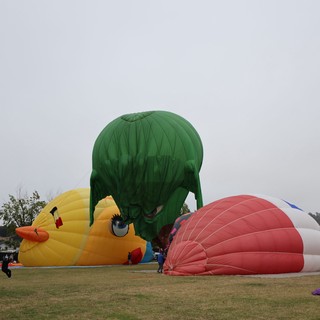 Giant Novelty Balloons Inflate at Sonoma County Festival