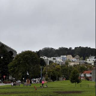 A Day in Duboce Park