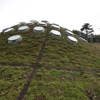 Green Roof with Circular Holes