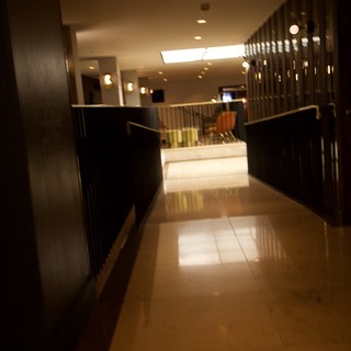 Modern Hotel or Office Corridor with Dark Wood Paneling