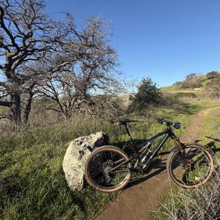 Serene Trails of Lime Ridge