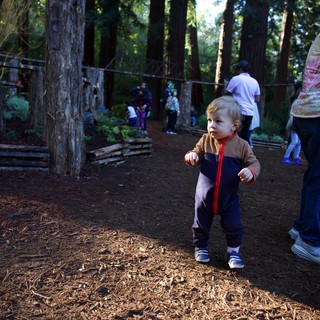 Forest adventure park or nature playground