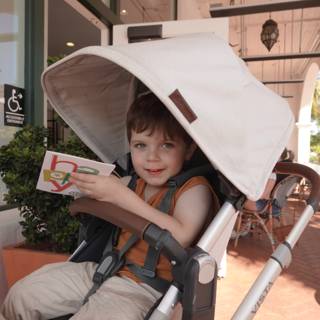 Stroller Adventures