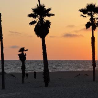 Sunset Stroll in Oxnard