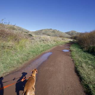 A Blissful Stroll in the Marin Headlands