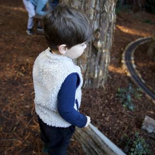 Woodland Wonders