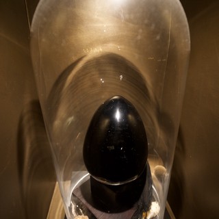 Black Obsidian Egg Under Illuminated Glass Dome Display