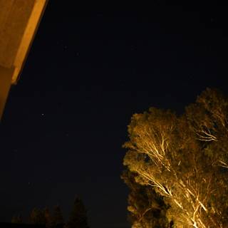 Starlit Night in Napa Valley