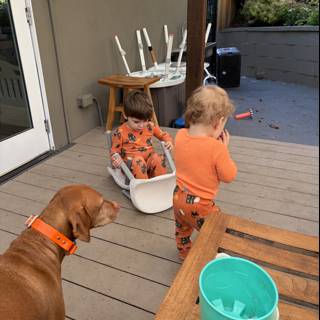 Morning Playtime on the Porch