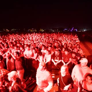 Red-Lit Crowd at Jamie Dornan's Cochella Performance