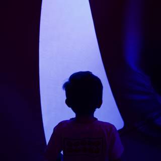 Gateway to Wonder