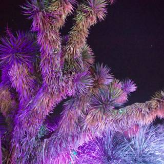 Luminescent Extravaganza