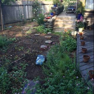 A Peaceful Backyard Garden