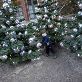 Enchanted Holiday Moment
