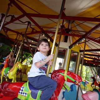 Young Child Enjoying Colorful Carousel Ride at Fantasyland