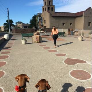 Walking with Canine Companions in Santa Fe