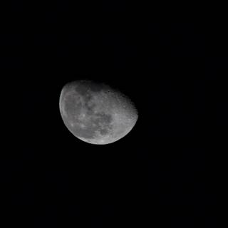 Lunar Majesty in Monochrome