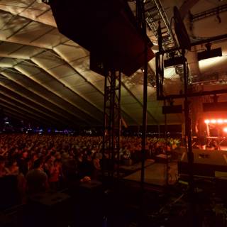 Energized Crowd at Coachella 2012 Rock Concert