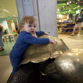 Toddler Embracing Bronze Turtle Sculpture in Children's Museum