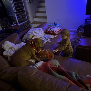 Cozy Early Morning Family Time at Home