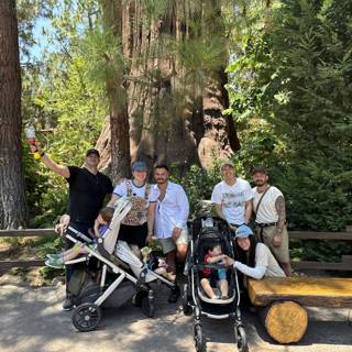 Adventure Awaits in the Sequoia Grove