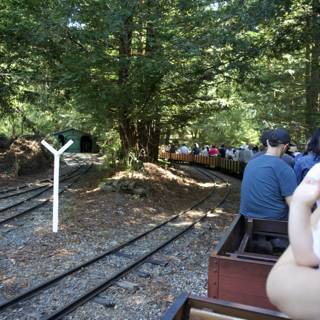 Chugging Along: A Day at Tilden Steam Trains