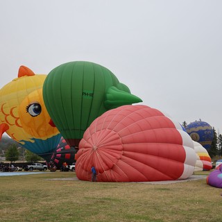 Colorful Giant Balloons Inflate at Sonoma County Classic