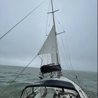 Sailing in Richardson Bay