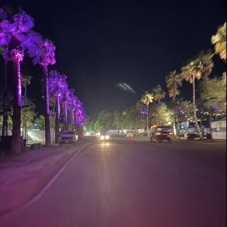 Illuminated Urban Oasis