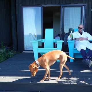 Relaxing with Dog on Deck Champagne