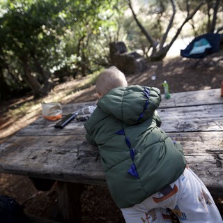 Toddler Explorer at Campsite Picnic Table