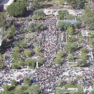 Massive Crowd Gathers in Los Angeles