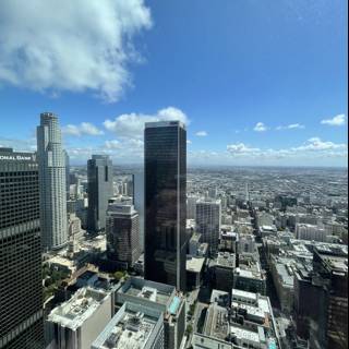 Downtown Los Angeles Skyline