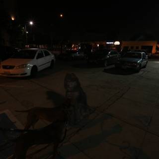 Parking Lot Pup