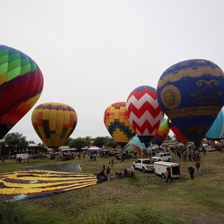 Colorful Hot Air Balloons Rise at Sonoma County Classic