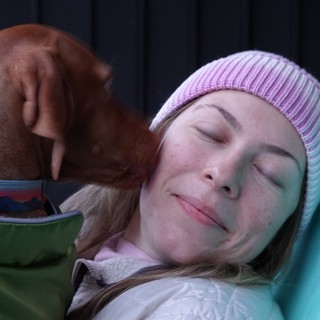 Peaceful Moment Between Dog and Owner