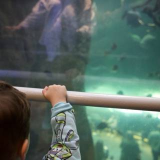 Childlike Curiosity: A Visit to California Academy of Sciences