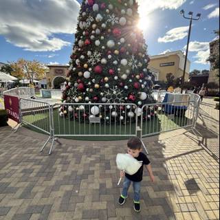 Holiday Magic at The Veranda