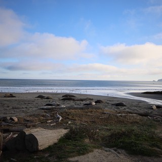 Elephant Seals Resting on Drakes Beach at Dusk