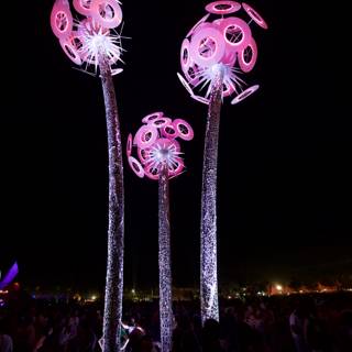 Illuminated Pink Blossoms Light Up Coachella Night Sky