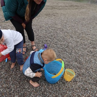 Toddler Explores Beach Bucket on Rocky Shore