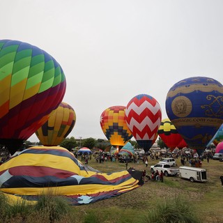 Colorful Hot Air Balloons Fill the Morning Sky
