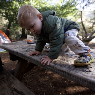 Fearless Toddler Conquers the Campsite Picnic Table