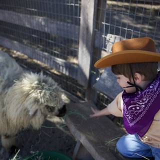 Little Cowboy and the Woolly Friend