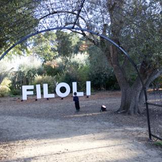 Exploring Filoli's Enchanted Gardens