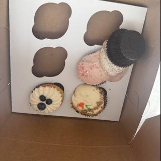 Sweet Surprises in a Box