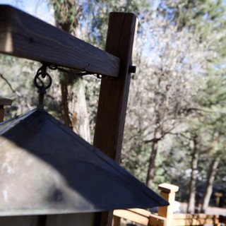 Rustic Bell Tower Against Ponderosa Pines in New Mexico